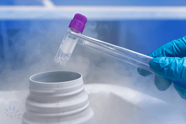 EmbryoFreezingDetails