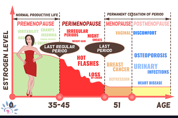 MenopauseDetailsOne