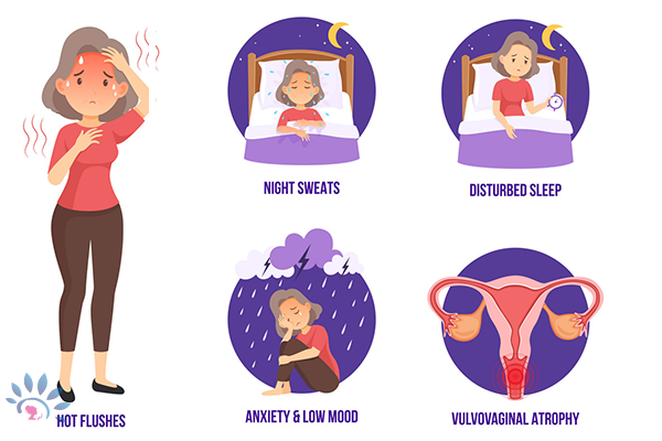 MenopauseDetailsThree